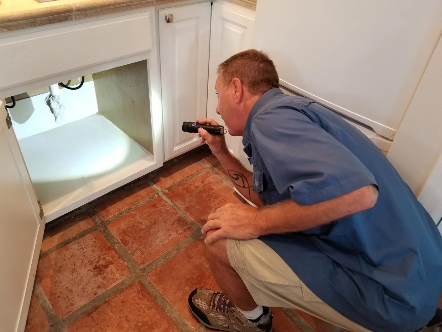 mold detection and removal Brooklyn NY