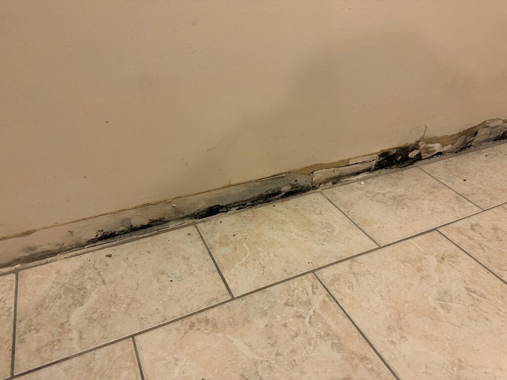 WhatsApp Image 2023-12-27 at 21.31.30_5764d4f3