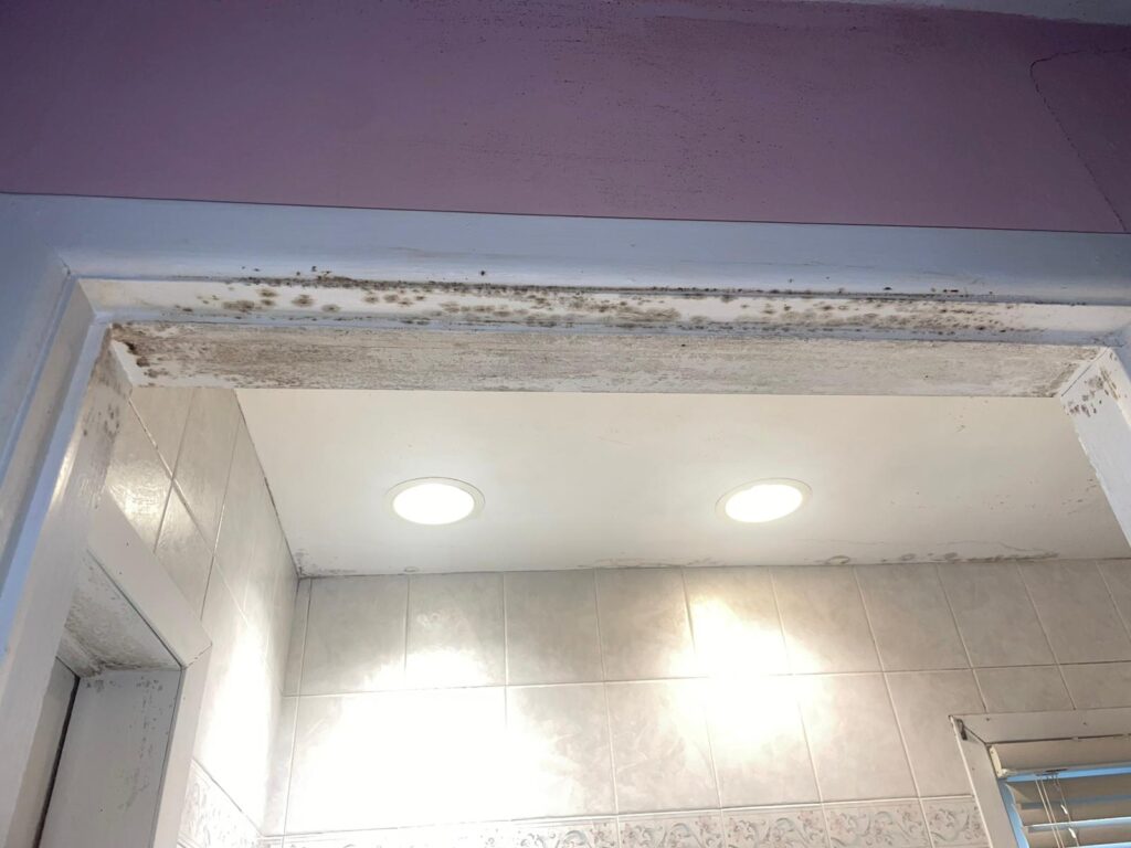 WhatsApp Image 2023-12-28 at 01.18.57_680ba171